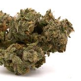 Red Velvet THCa Hemp Flower Greenhouse Wholesale - Plants